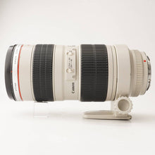 画像をギャラリービューアに読み込む, キヤノン Canon EF 70-200mm F2.8 L USM
