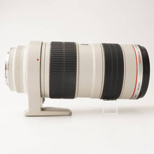画像をギャラリービューアに読み込む, キヤノン Canon EF 70-200mm F2.8 L USM
