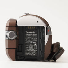 画像をギャラリービューアに読み込む, パナソニック Panasonic HC-W590MS Bブラウン デジタルハイビジョンビデオカメラ
