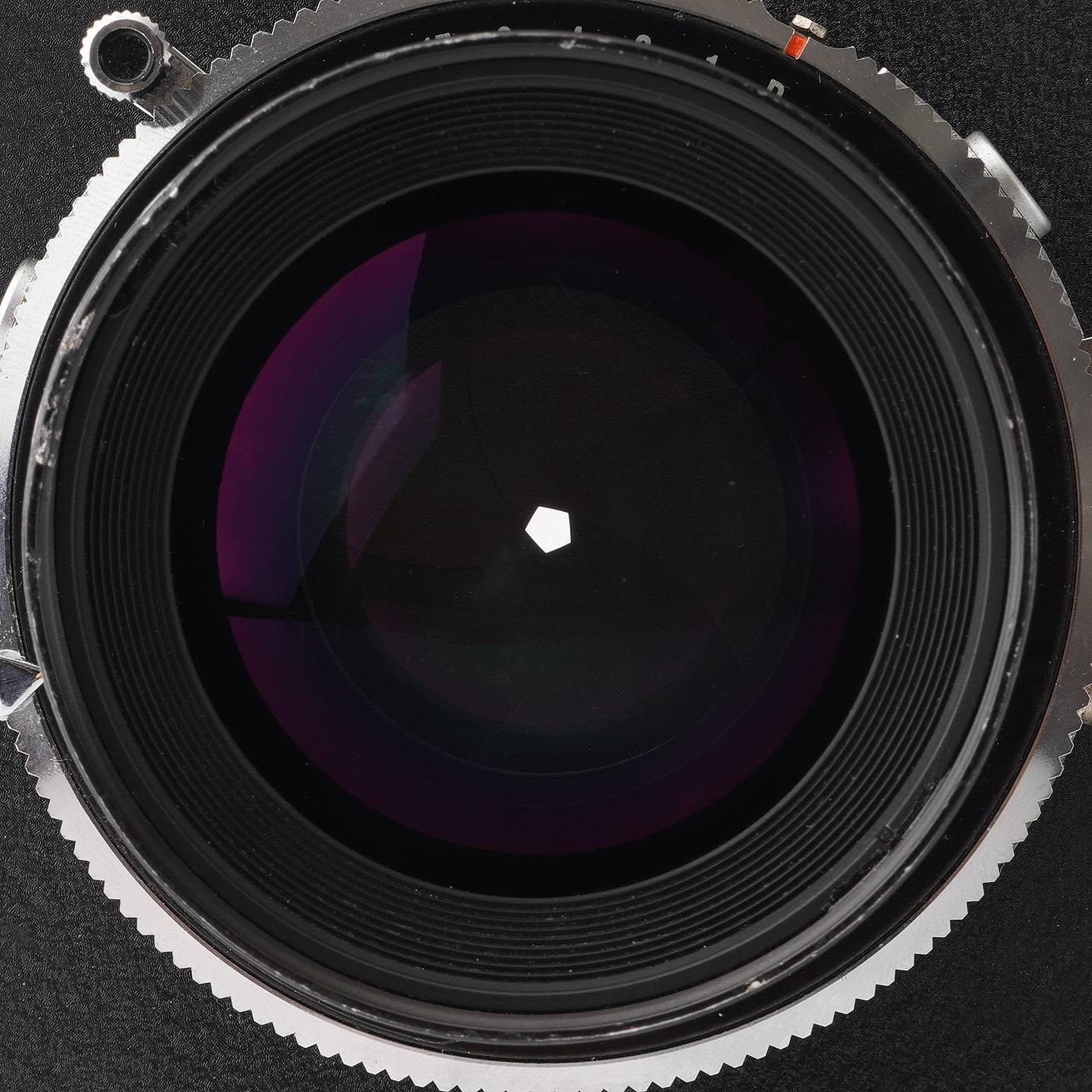 Nikon NIKKOR-W 150mm f/5.6 – Natural Camera / ナチュラルカメラ