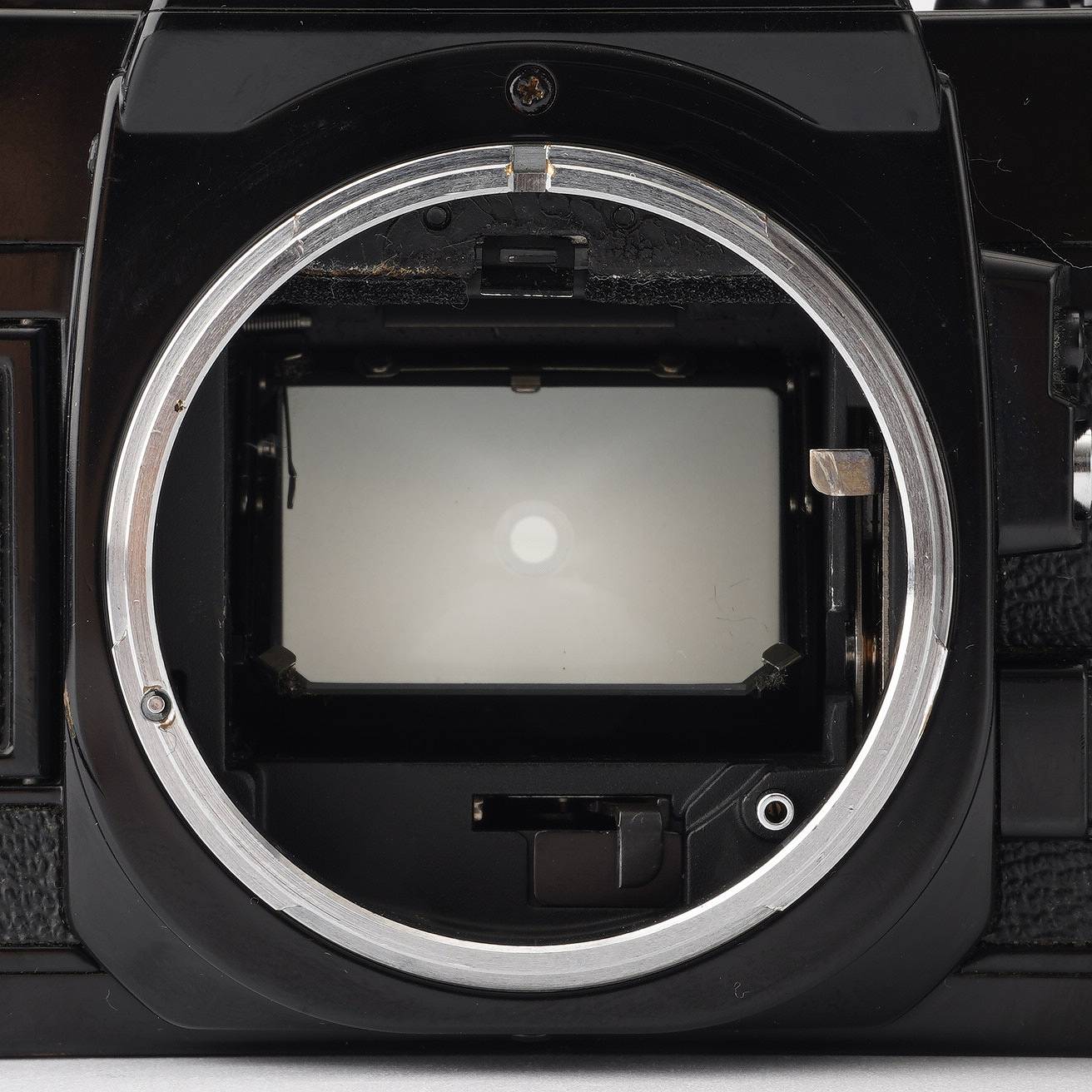 Canon AE-1 PROGRAM / ZOOM FD 35-70mm f/4 – Natural Camera 