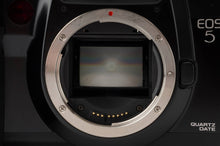 画像をギャラリービューアに読み込む, キヤノン Canon EOS 5 / ZOOM EF 28-105mm F3.5-4.5 USM
