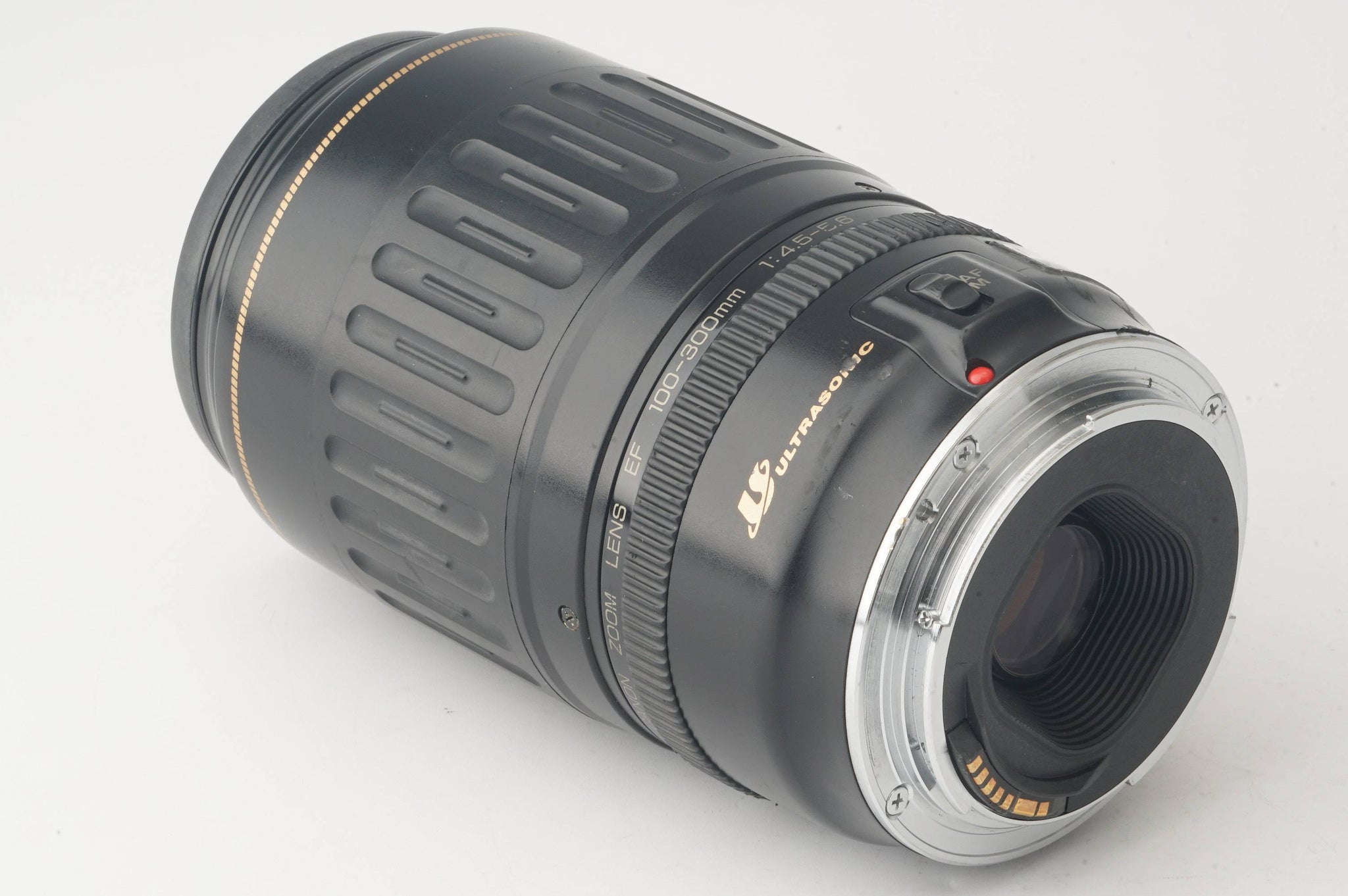 キャノン Canon EF 100-300mm ULTRASONIC