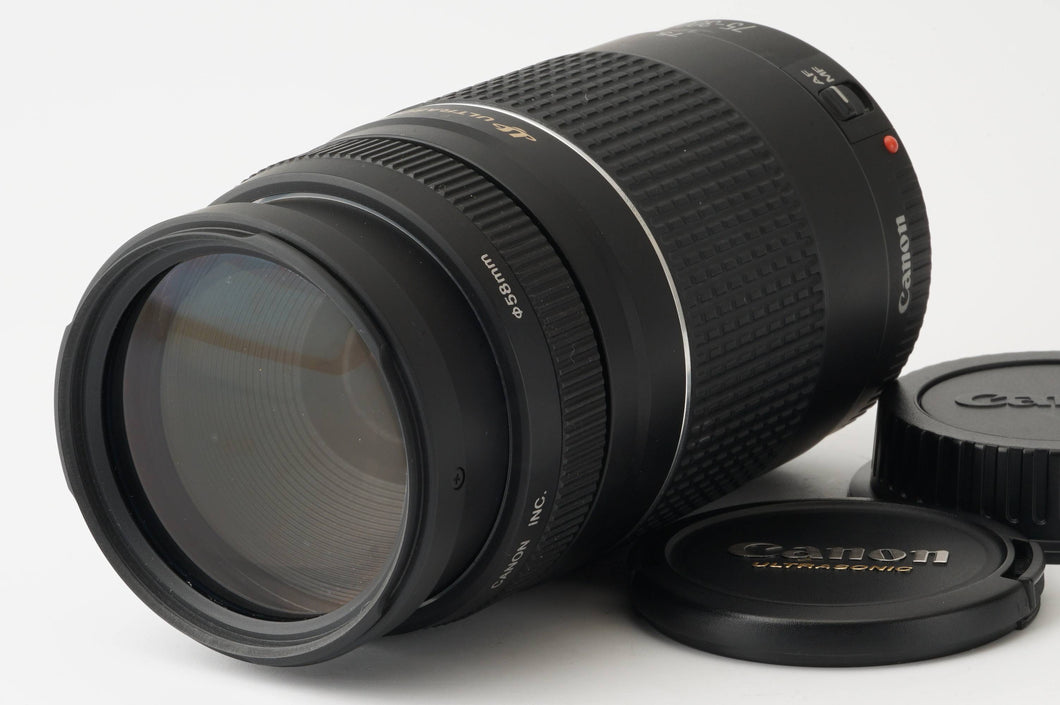 キヤノン Canon EF 75-300mm f4-5.6 III USM – Natural Camera ...