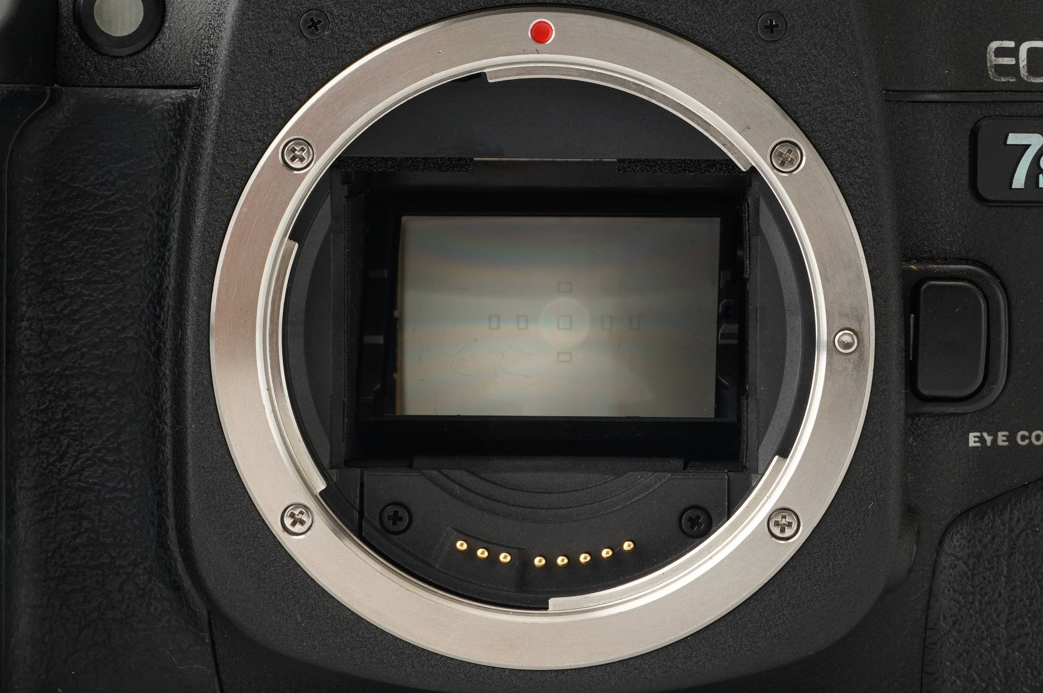 キヤノン Canon EOS 7S – Natural Camera / ナチュラルカメラ
