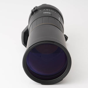 シグマ Sigma 170-500mm F5-6.3 D APO Nikon用