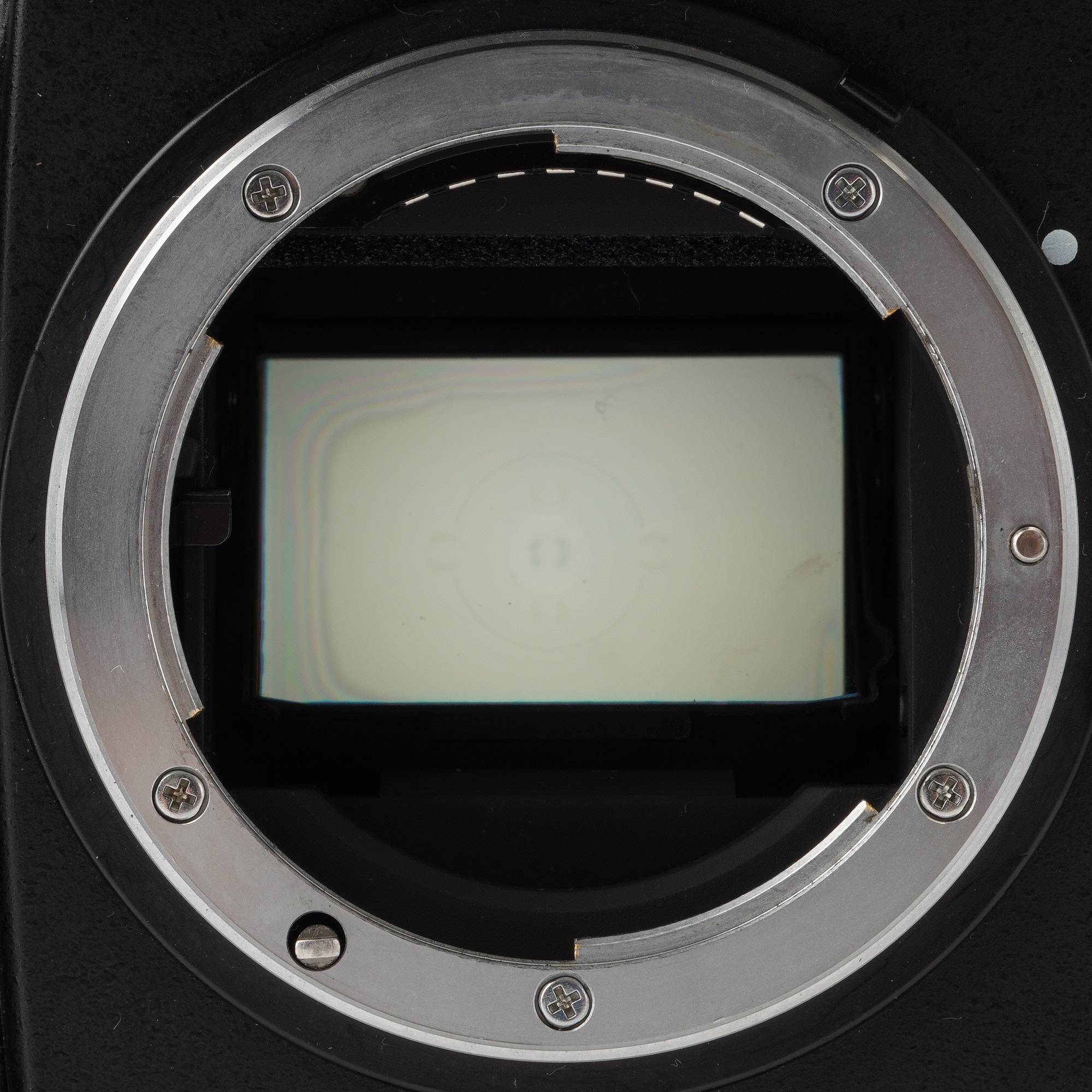 ニコン Nikon F5 一眼レフ フィルムカメラ / アクションファインダー 