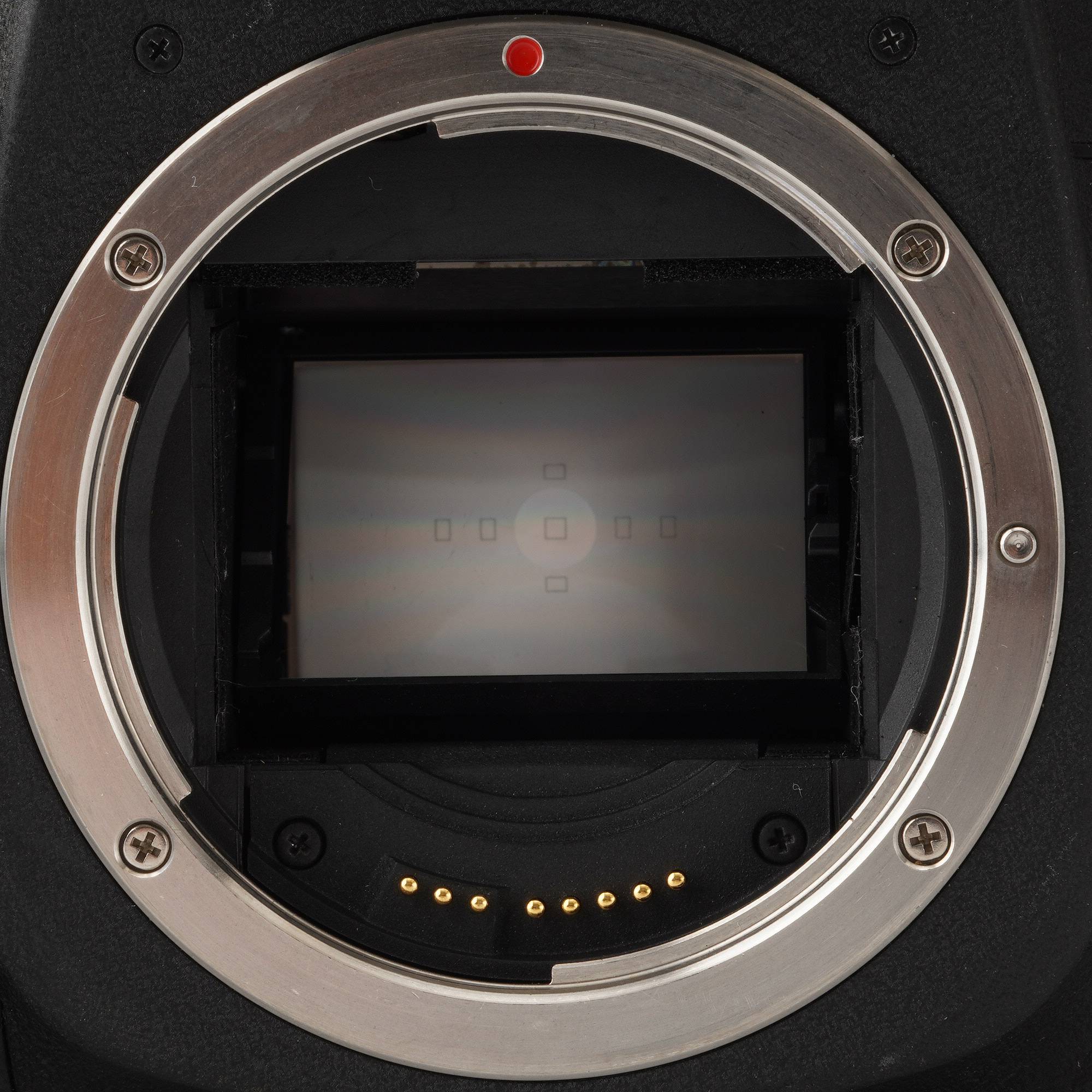 キヤノン Canon EOS 7S 一眼レフフィルムカメラ – Natural Camera 